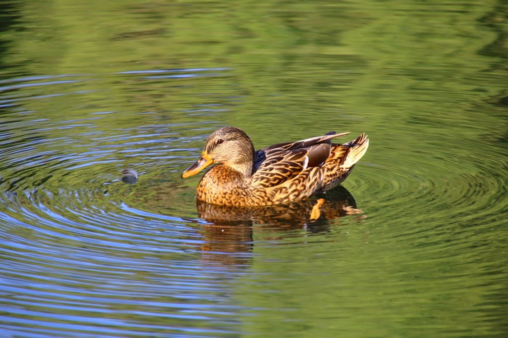 Image05.jpg