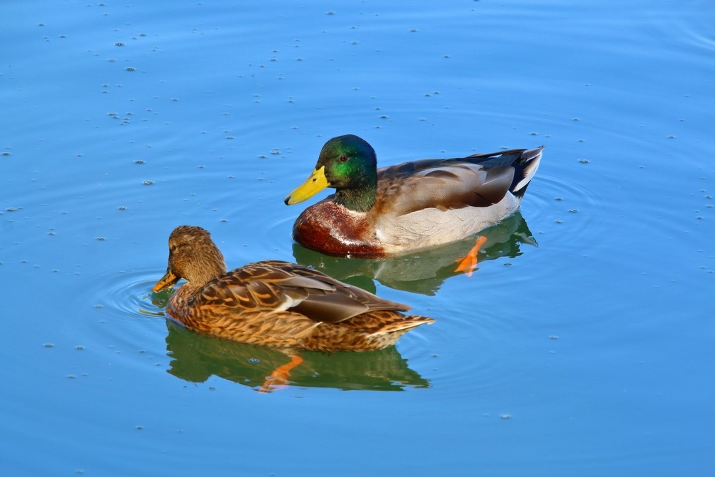 Image02.jpg