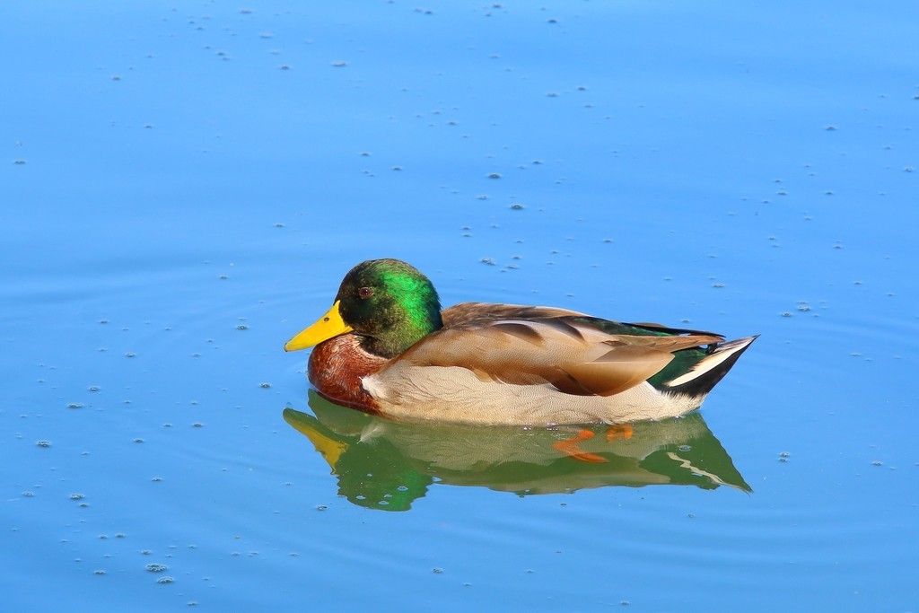 Image03.jpg